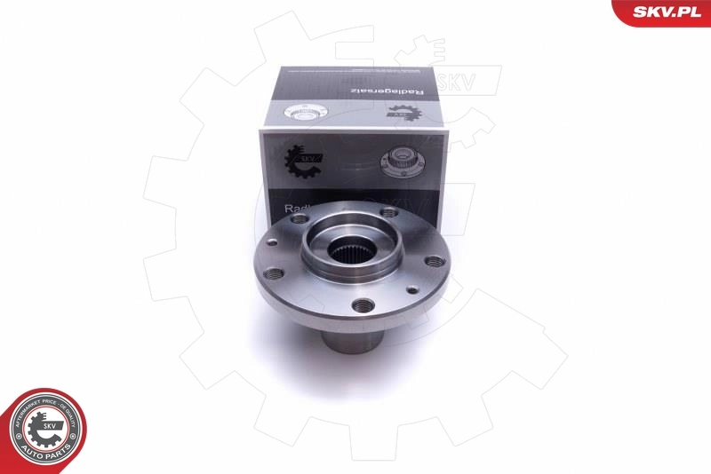 Wheel Bearing Kit